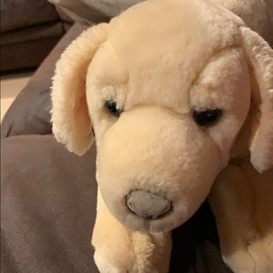 Meet your Posher, Brendan